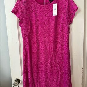 Laundry By Shelli Segal Fuchsia Lace Midi Dress